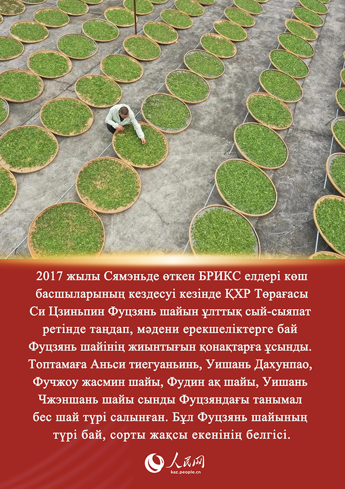 Си Цзиньпин мен Фуцзянь шайы арасында?ы хикая