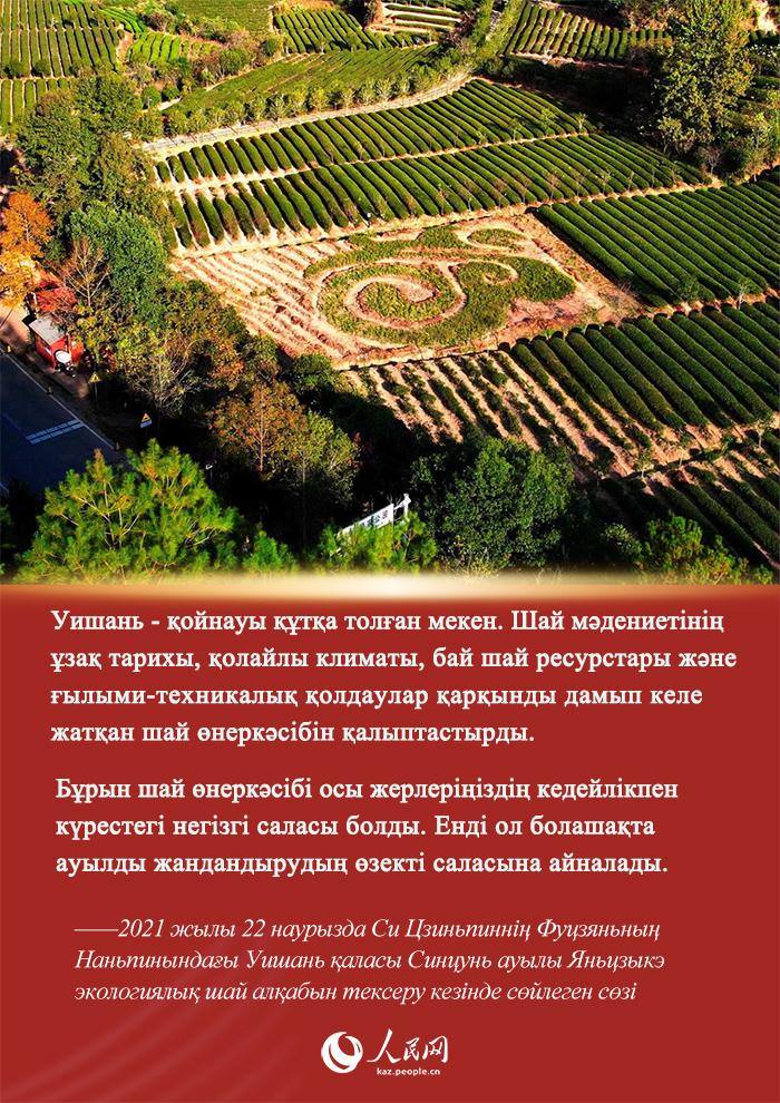 Си Цзиньпин мен Фуцзянь шайы арасында?ы хикая