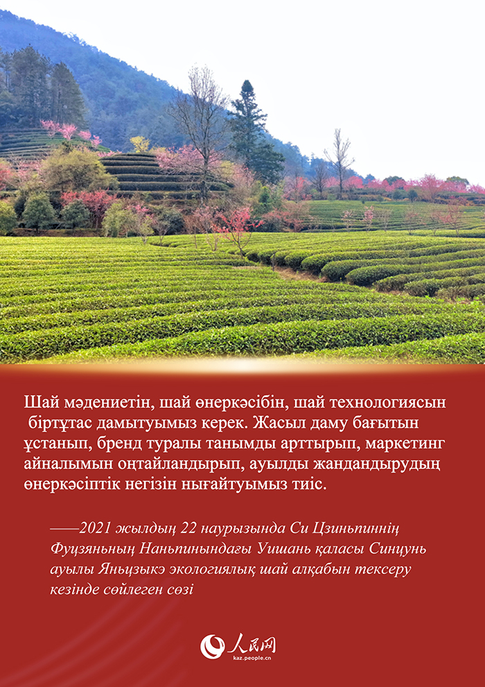 Си Цзиньпин мен Фуцзянь шайы арасында?ы хикая