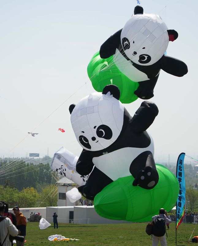 Вэйфанда 42-?нш? халы?аралы? батпырауы? фестивал? басталды