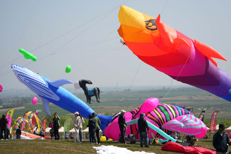 Вэйфанда 42-?нш? халы?аралы? батпырауы? фестивал? басталды