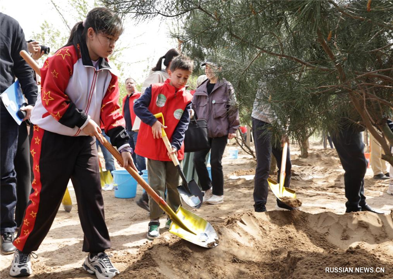 В Пекине прошла лесопосадочная акция "Лес дружбы" с участием представителей молодого поколения из стран ШОС