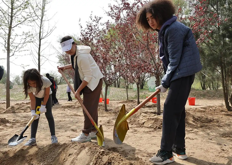 ШЫ? отбасыны? жастары Бейж??де досты? а?ашын отыр?ызды