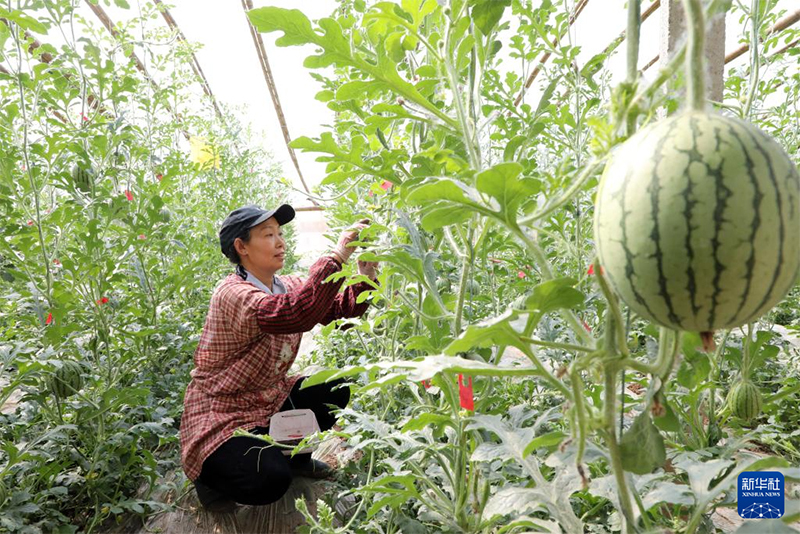 Жаз басы амалында?фермерлер ег?с?ж?мыстарымен??арбалас