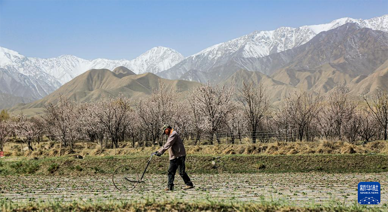 Жаз басы амалында?фермерлер ег?с?ж?мыстарымен??арбалас