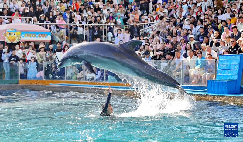 1 мамыр мерекес? кез?нде ел ?ш?нде 314 миллион адам саяхатта?ан