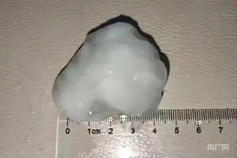 Бейж??де б?рша? жауды