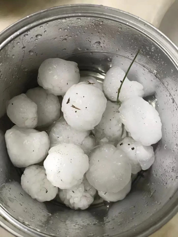 Бейж??де б?рша? жауды