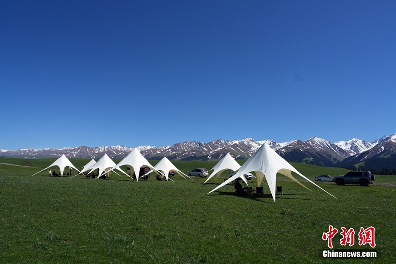 Шы?жа?да?ы Нарат жайлауында туристер к?бейд?