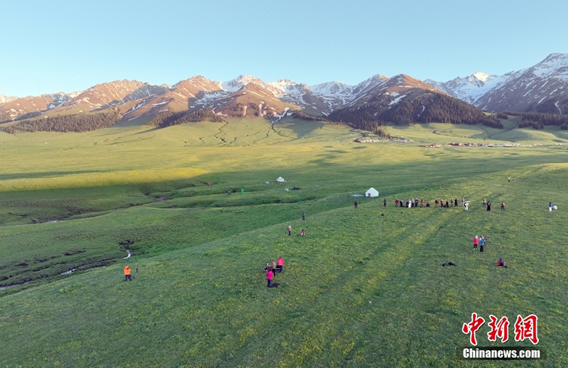 Шы?жа?да?ы Нарат жайлауында туристер к?бейд?