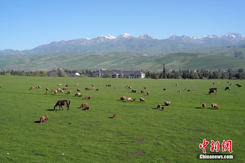 Шы?жа?да?ы Нарат жайлауында туристер к?бейд?