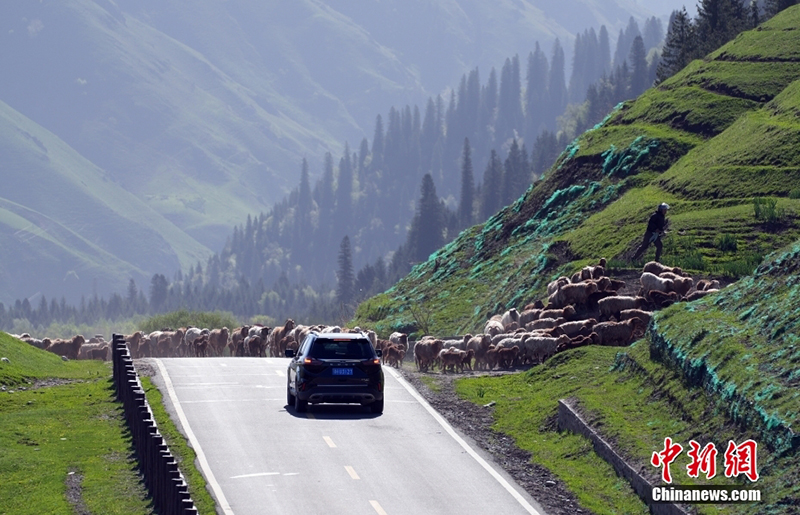 Шы?жа?да?ы Нарат жайлауында туристер к?бейд?