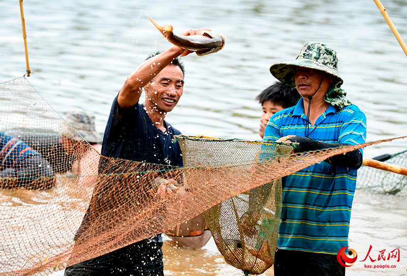 Юньнань Майтрея ?аласында?ы д?ст?рл? балы? аулау