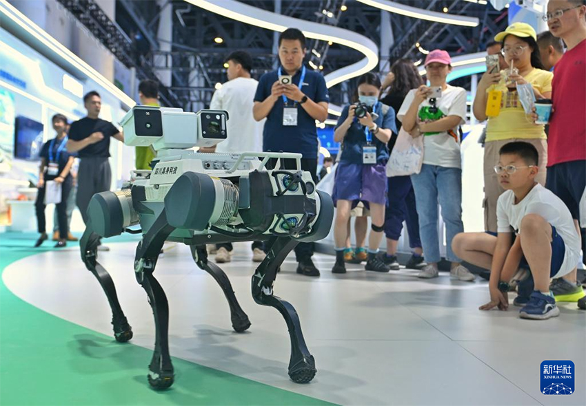 Чэнду ?аласында Батыс ?ытайды? 20-сыншы халы?аралы? к?рмес? ашылды