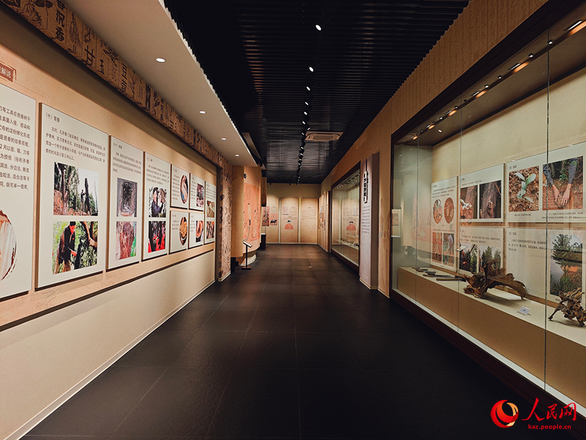 А?аш жары?ыны? ж?пар и?с?: Лингнан м?дени м?расыны? да?дыларын зерттеу