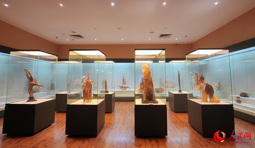 А?аш жары?ыны? ж?пар и?с?: Лингнан м?дени м?расыны? да?дыларын зерттеу