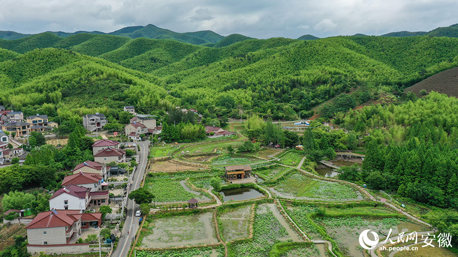 Дамып жат?ан ?ытай - Хэсин ауылында?ы ?згер?стер