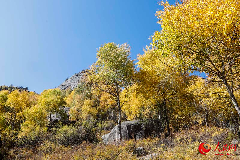 ?ойнауы ?азына?а тол?ан К?кто?ай