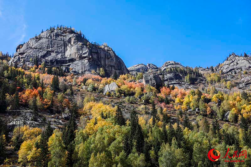 ?ойнауы ?азына?а тол?ан К?кто?ай