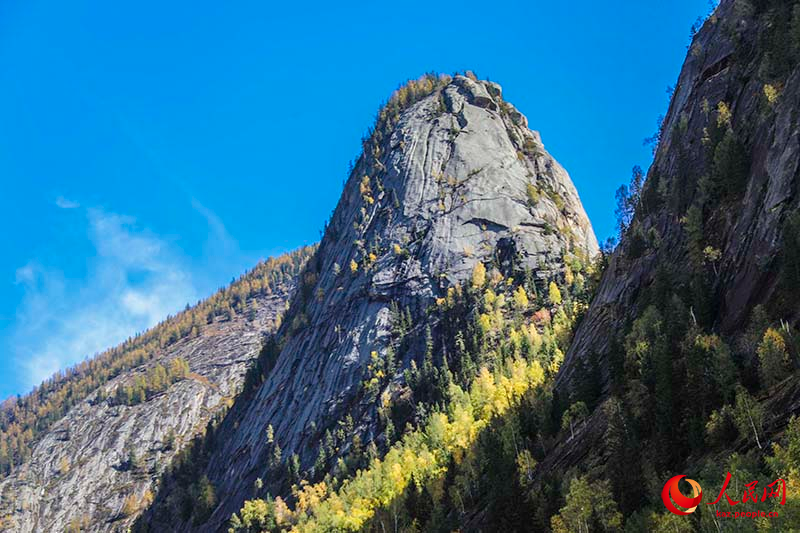 ?ойнауы ?азына?а тол?ан К?кто?ай