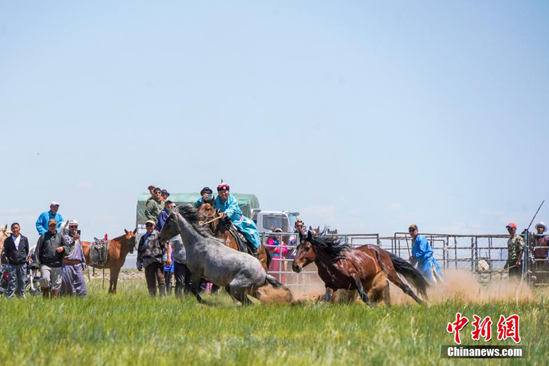 Силиньгол жайлауында жыл?ы жуастыру шарасы ?тт?