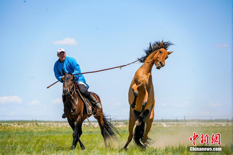 Силиньгол жайлауында жыл?ы жуастыру шарасы ?тт?