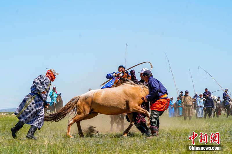 Силиньгол жайлауында жыл?ы жуастыру шарасы ?тт?