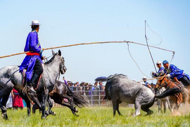 Силиньгол жайлауында жыл?ы жуастыру шарасы ?тт?