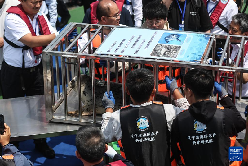 ??т?арыл?ан шыбар итбалы?тар те??зге ?айта ж?бер?лд?