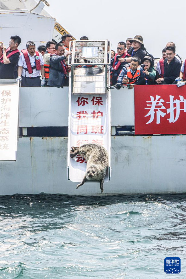 ??т?арыл?ан шыбар итбалы?тар те??зге ?айта ж?бер?лд?