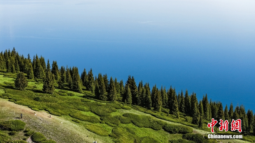 Б?ратала, Шы?жа?: Мен оны к?рд?м, сонда болдым! Жел?де б?к?л елге танымал бол?ан Сайрам к?л?