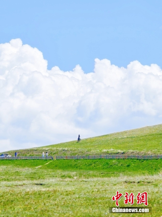 Б?ратала, Шы?жа?: Мен оны к?рд?м, сонда болдым! Жел?де б?к?л елге танымал бол?ан Сайрам к?л?