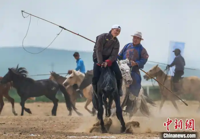 2025 жыл?ы ?шк? Мо???л мо???л жыл?ылары б?йгес? ?т?п жатыр