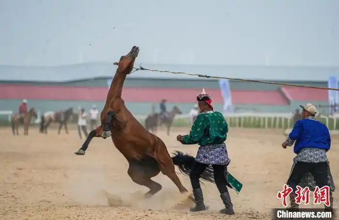 2025 жыл?ы ?шк? Мо???л мо???л жыл?ылары б?йгес? ?т?п жатыр