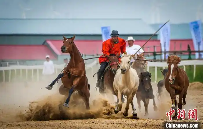 2025 жыл?ы ?шк? Мо???л мо???л жыл?ылары б?йгес? ?т?п жатыр
