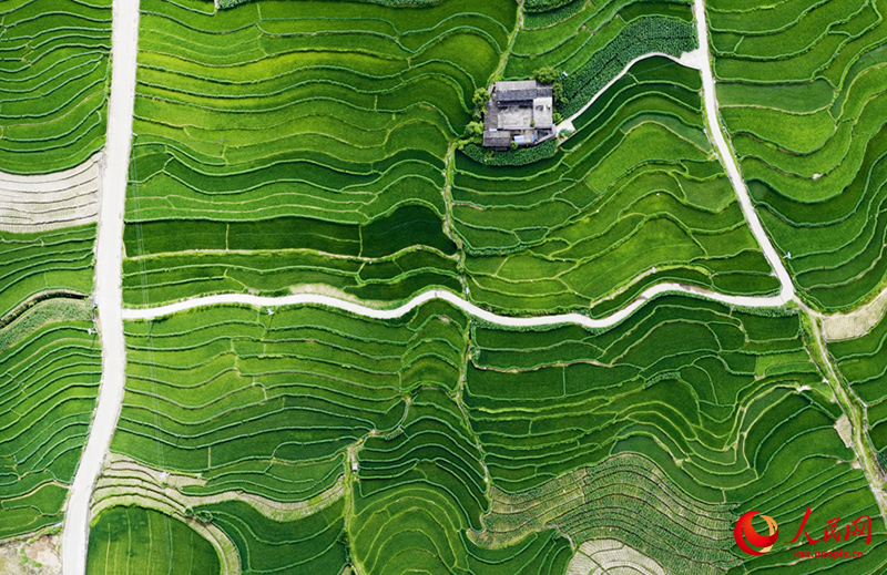 Ланьцанцзян ?зен? жа?асында?ы сатылы атыз сал?ан суреттей к?ркем