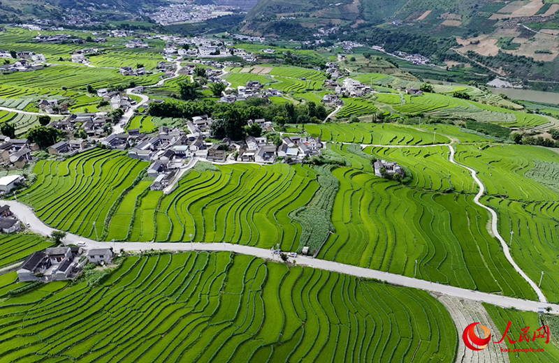 Ланьцанцзян ?зен? жа?асында?ы сатылы атыз сал?ан суреттей к?ркем