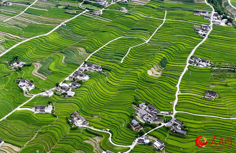 Ланьцанцзян ?зен? жа?асында?ы сатылы атыз сал?ан суреттей к?ркем