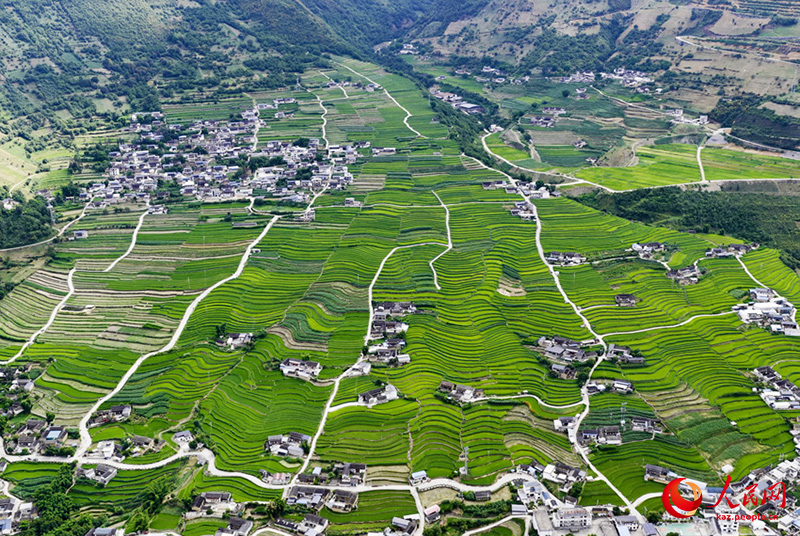 Ланьцанцзян ?зен? жа?асында?ы сатылы атыз сал?ан суреттей к?ркем