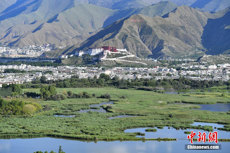 Жаз ортасында?ы Лалу сазыны? к?ркем к?р?н?с?