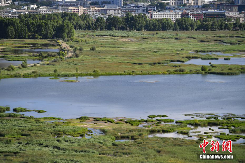 Жаз ортасында?ы Лалу сазыны? к?ркем к?р?н?с?