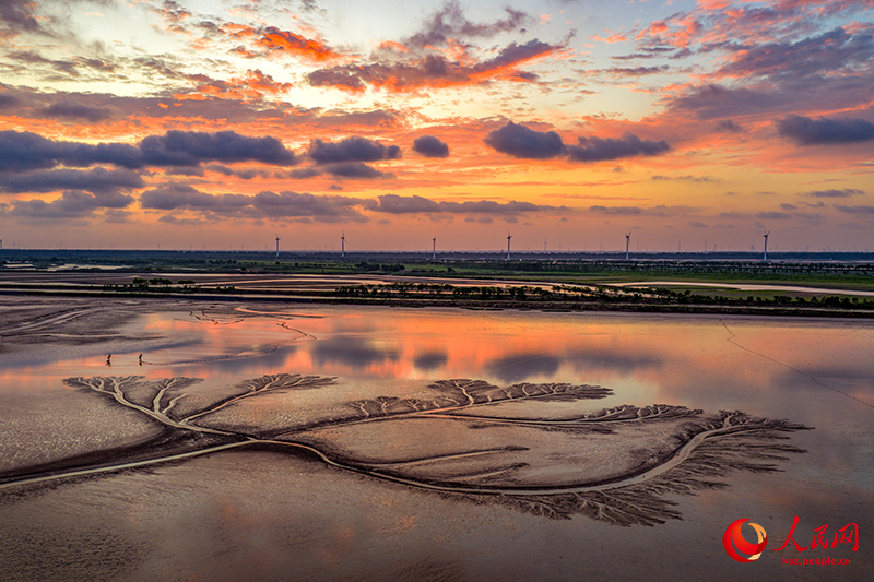 Цзянсуды? Яньчэн ?аласында?ы Сары те??зд?? батпа?ына б??ылар сурет салды