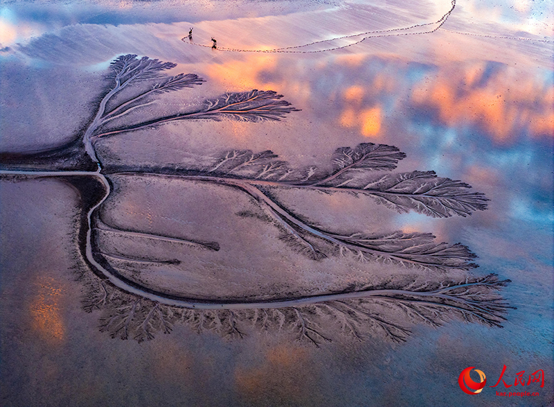 Цзянсуды? Яньчэн ?аласында?ы Сары те??зд?? батпа?ына б??ылар сурет салды