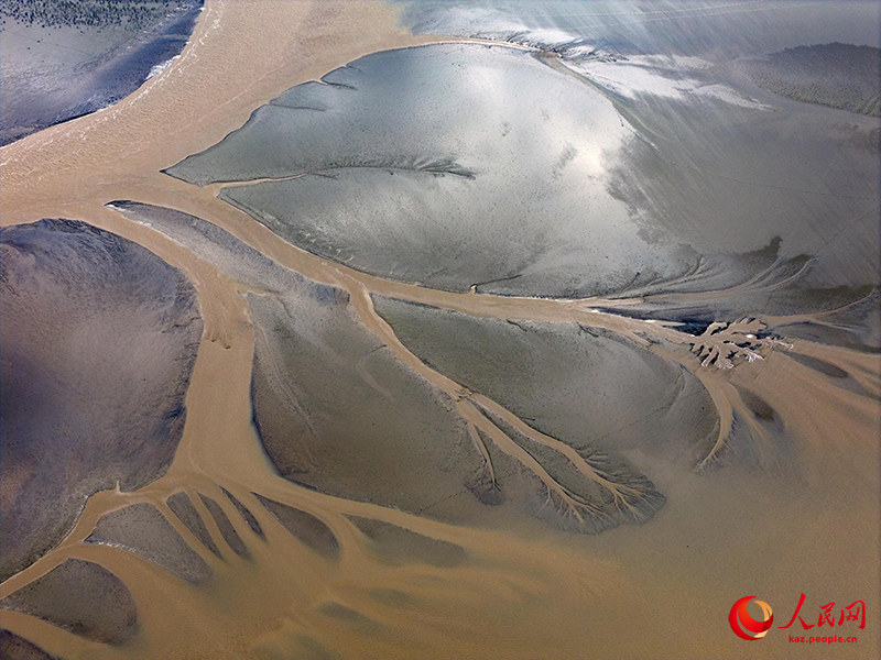 Цзянсуды? Яньчэн ?аласында?ы Сары те??зд?? батпа?ына б??ылар сурет салды