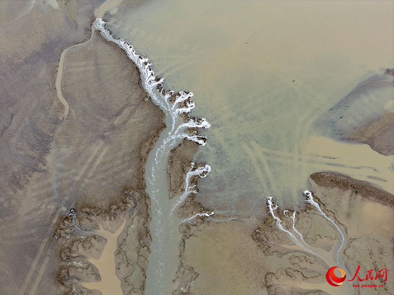 Цзянсуды? Яньчэн ?аласында?ы Сары те??зд?? батпа?ына б??ылар сурет салды