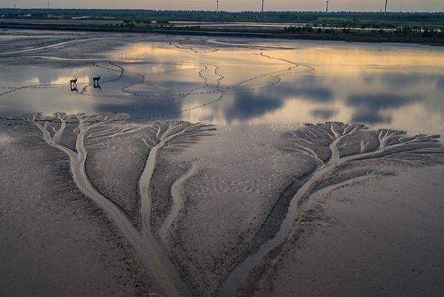 Б?ландар сал?ан сурет