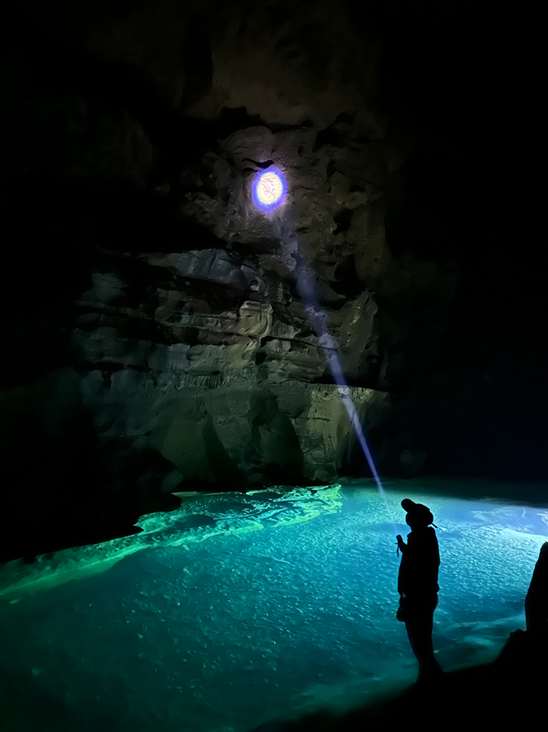 ?Ша?ыра?тан? тиндал н?рына к?з салы?ыз