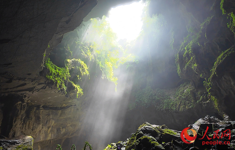 ?Ша?ыра?тан? тиндал н?рына к?з салы?ыз