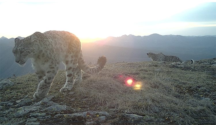 Бейнекамерада?ы т?рт барыс