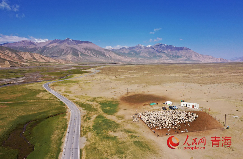 Цинхайда?ы Куньлунь тауыны? жаз?ы тынысы